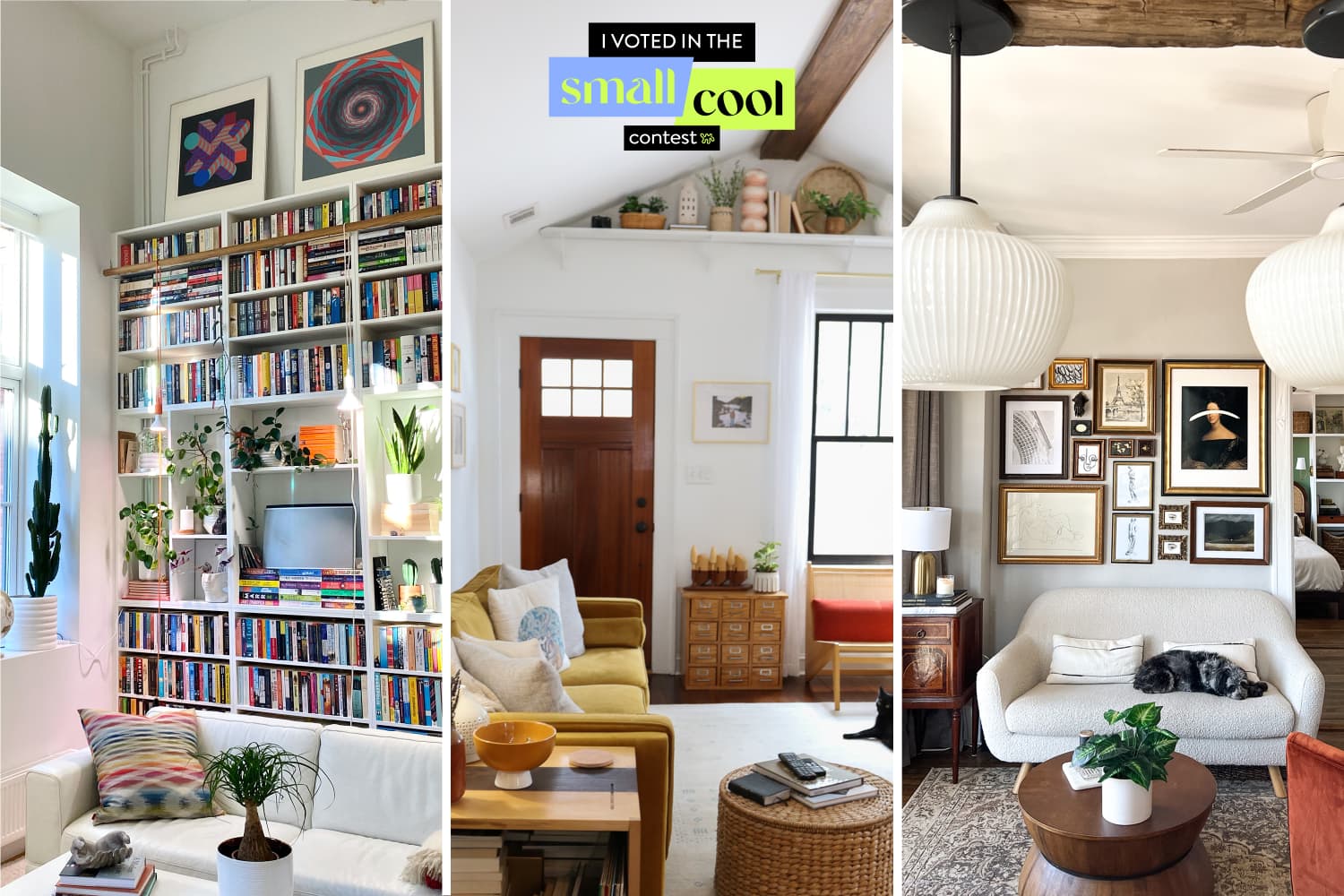 Meet the Winner of the Small Cool 2022 Contest Apartment Therapy